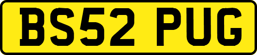 BS52PUG