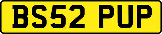 BS52PUP