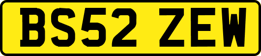 BS52ZEW