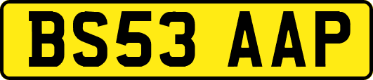 BS53AAP