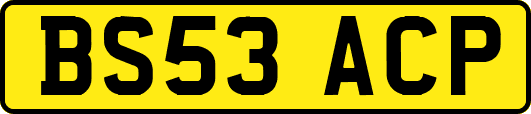 BS53ACP