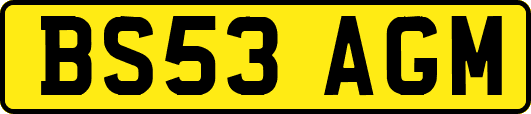 BS53AGM