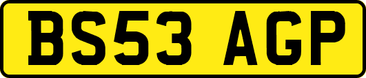 BS53AGP