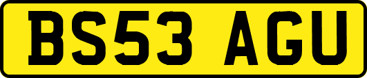 BS53AGU