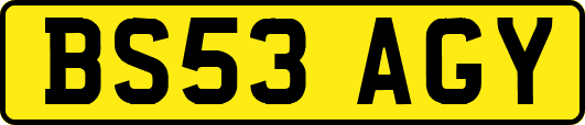 BS53AGY