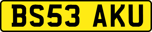 BS53AKU