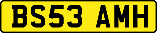 BS53AMH