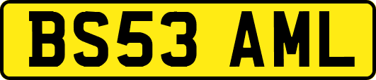 BS53AML