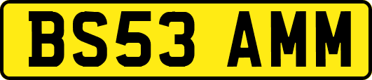 BS53AMM