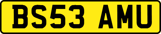 BS53AMU