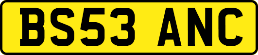 BS53ANC