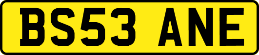 BS53ANE
