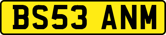 BS53ANM