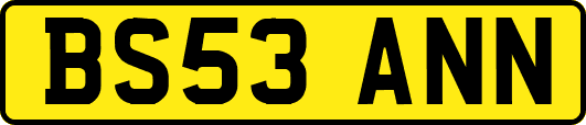 BS53ANN