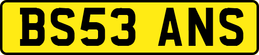 BS53ANS