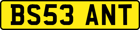 BS53ANT
