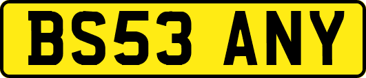 BS53ANY