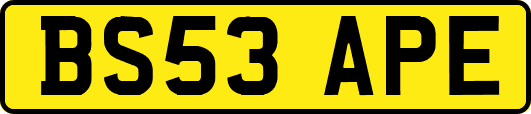 BS53APE