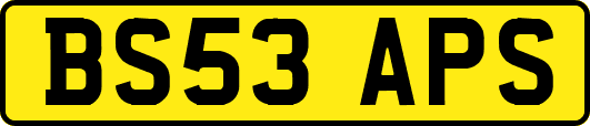 BS53APS