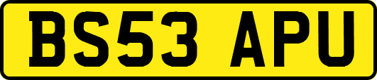 BS53APU
