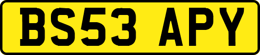 BS53APY