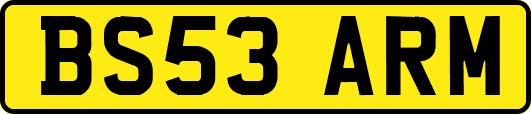 BS53ARM