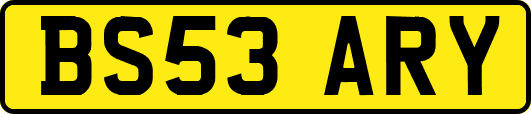BS53ARY
