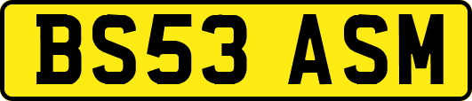 BS53ASM