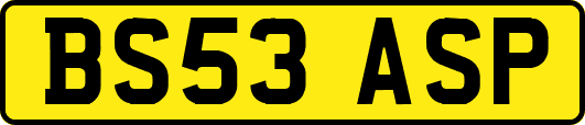 BS53ASP