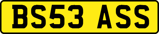 BS53ASS