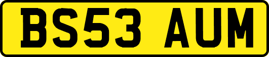 BS53AUM