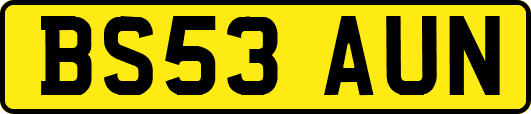BS53AUN