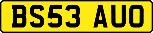 BS53AUO