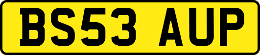 BS53AUP
