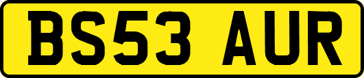 BS53AUR