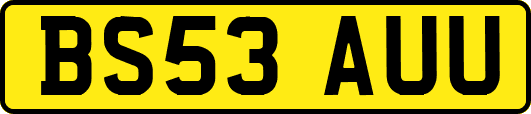 BS53AUU