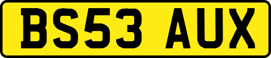 BS53AUX