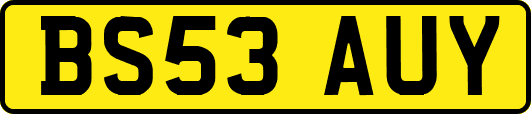 BS53AUY