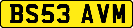 BS53AVM