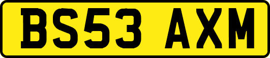 BS53AXM