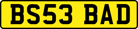 BS53BAD