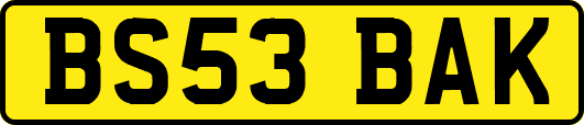 BS53BAK