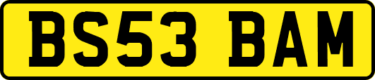 BS53BAM