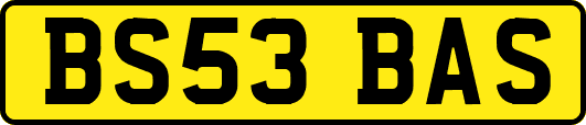 BS53BAS