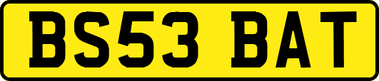 BS53BAT