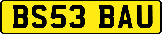 BS53BAU
