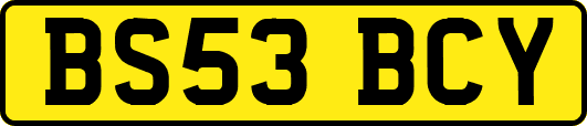 BS53BCY