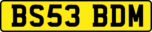 BS53BDM