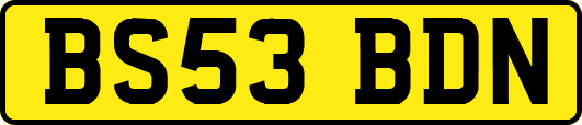 BS53BDN
