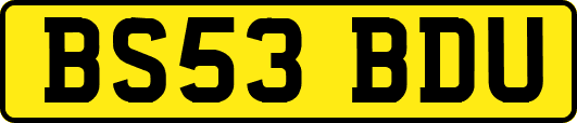 BS53BDU